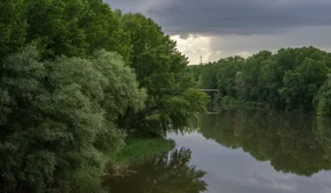 descubre-el-rio-ebro-en-logroño-y-su-papel